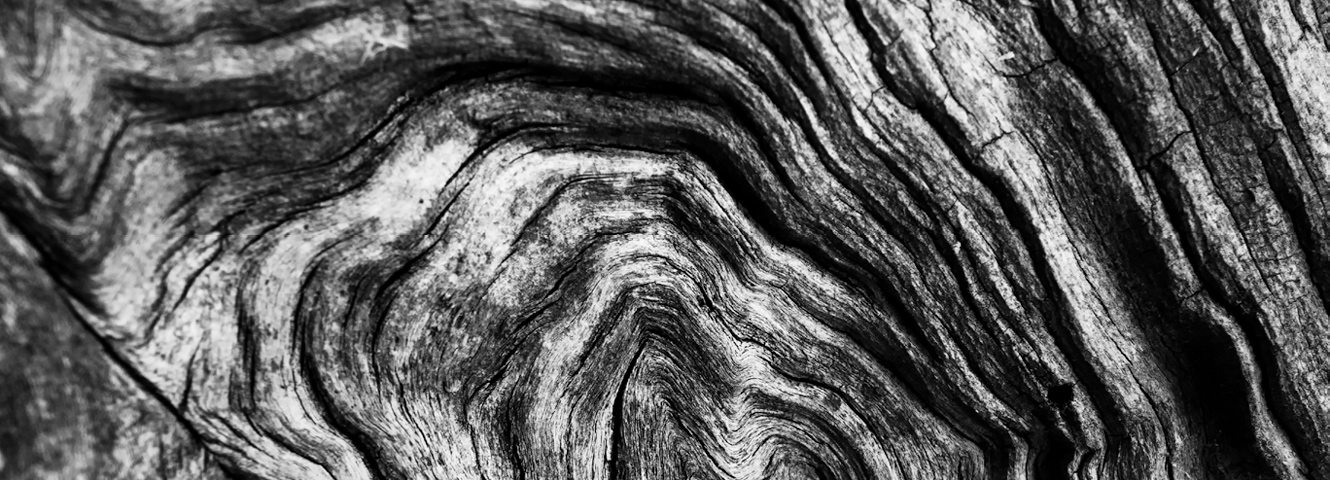 High contrast image of a wood knot.